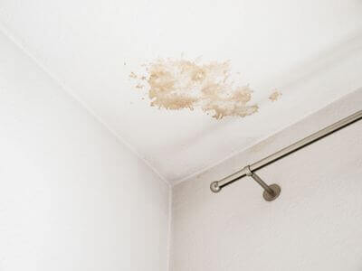 About Lake Worth Beach FL Mold Removal Pros - mold removal experts in Lake Worth Beach